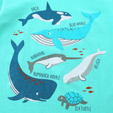 Bumeex Toddler Boy Clothes 100% Cotton Jersey Short Sleeve T-Shirt and Short Clothing Set with Pockets Outfits 2-7T